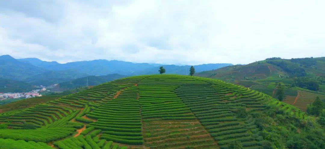 "十四五"规划,听听他们怎么说_手机搜狐网