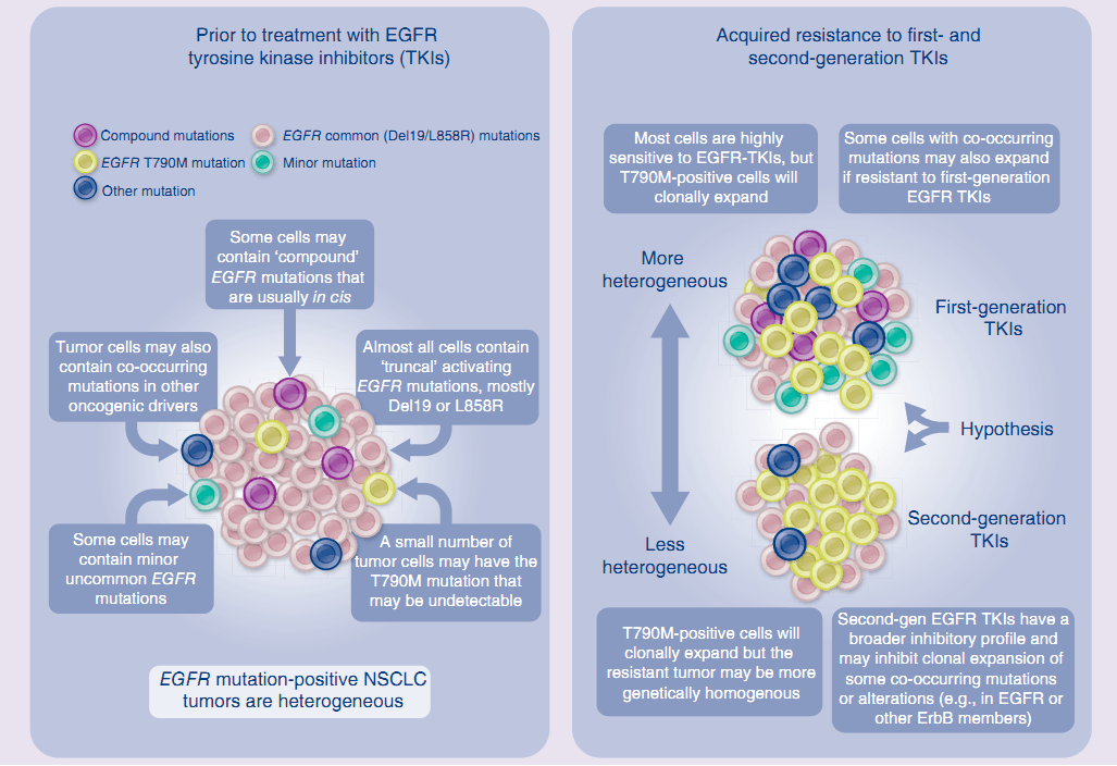与癌共舞肿瘤的异质性肺癌篇