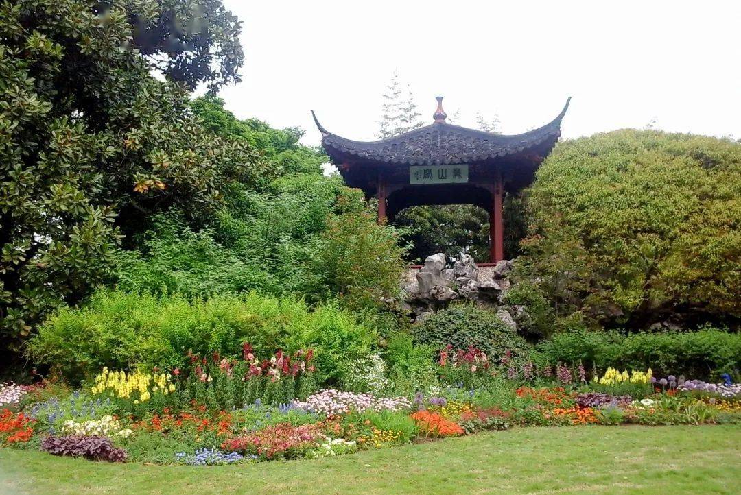 池鱼灵动繁花夺人西湖边的风雅趣地花港观鱼