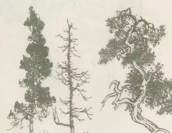 【国画教程】怎样画树？不妨看看这里_树木