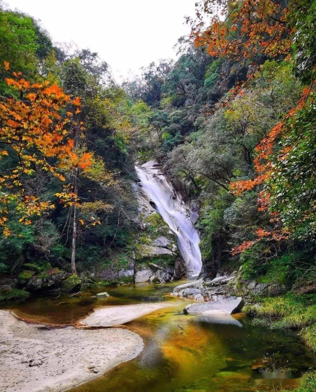 陇上生态瑰宝——裕河白沙沟!金丝猴的乐园_武都区
