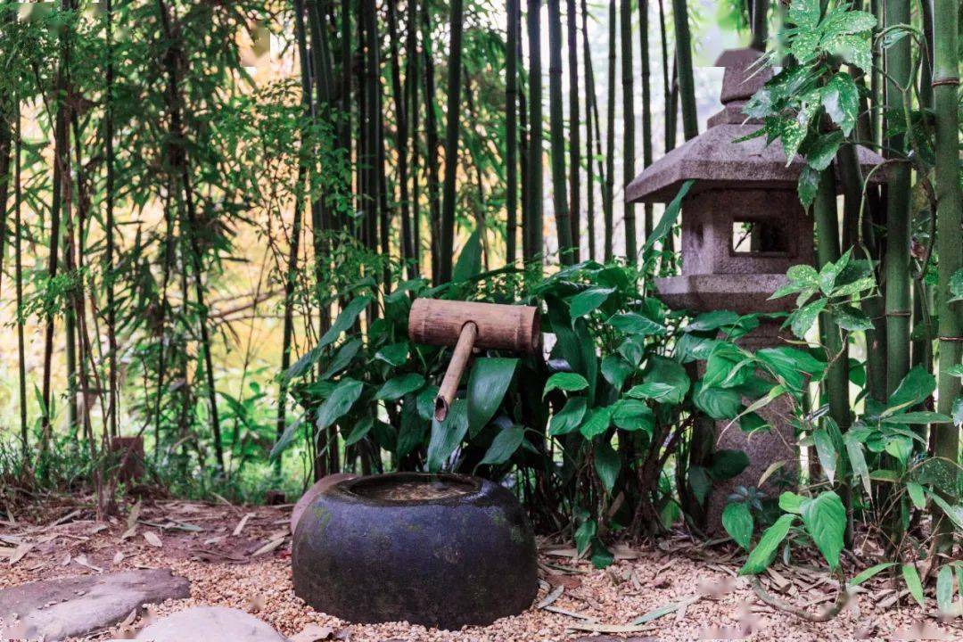 鵝嶺公園,你也太會勾引人了!_重慶