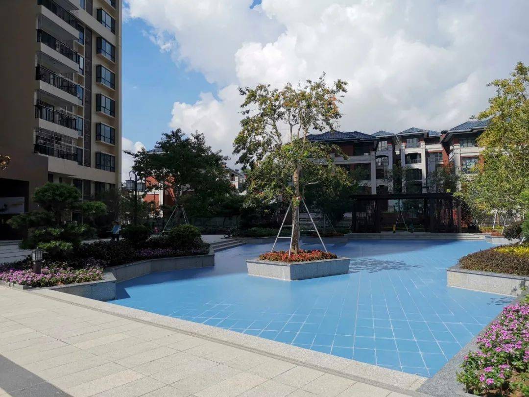 紫荆雅苑业主首届摄影大赛投票开始啦快为你心目中的大咖之作投上一票