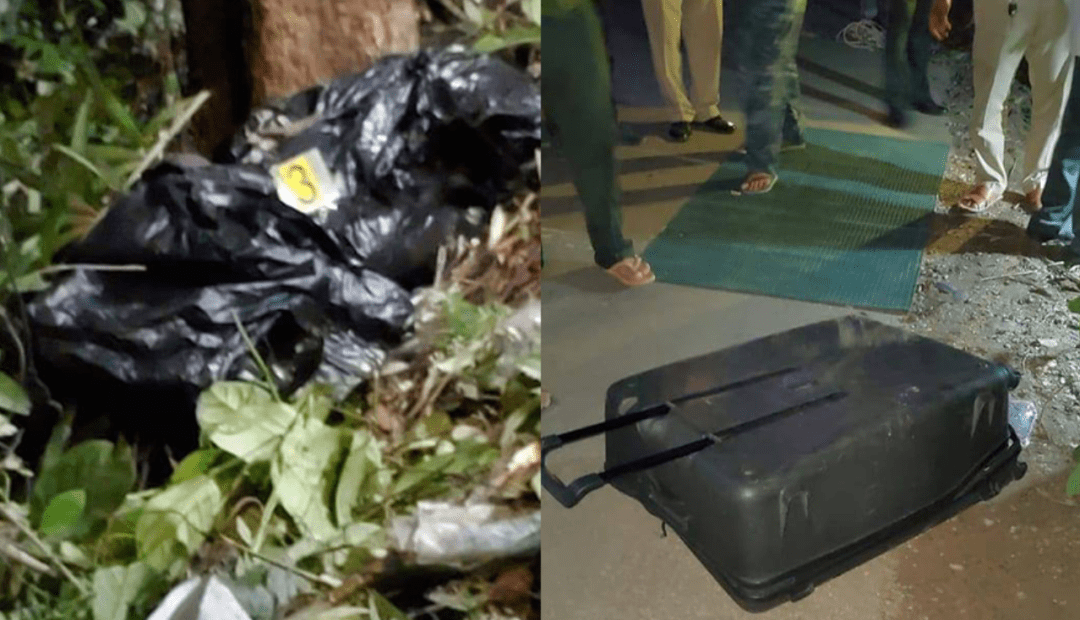 行李箱弃尸案新进展中国凶犯落网