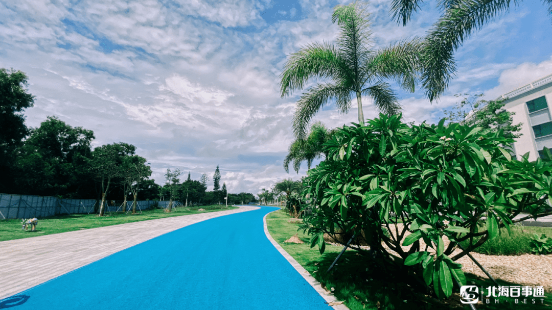 北海银滩"焕新颜"倒计时!