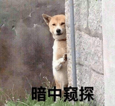 听着云里雾里不知道视频怎么制作也不要紧,小编也提供了两个往年获奖