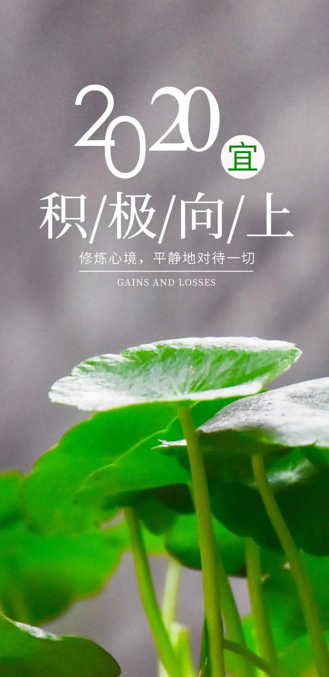 27早安!新的一天,新的开始!_生活