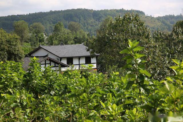 石泉万亩桑海里的山村成了旅游村,村里有古朴民宿和网红空中漂流