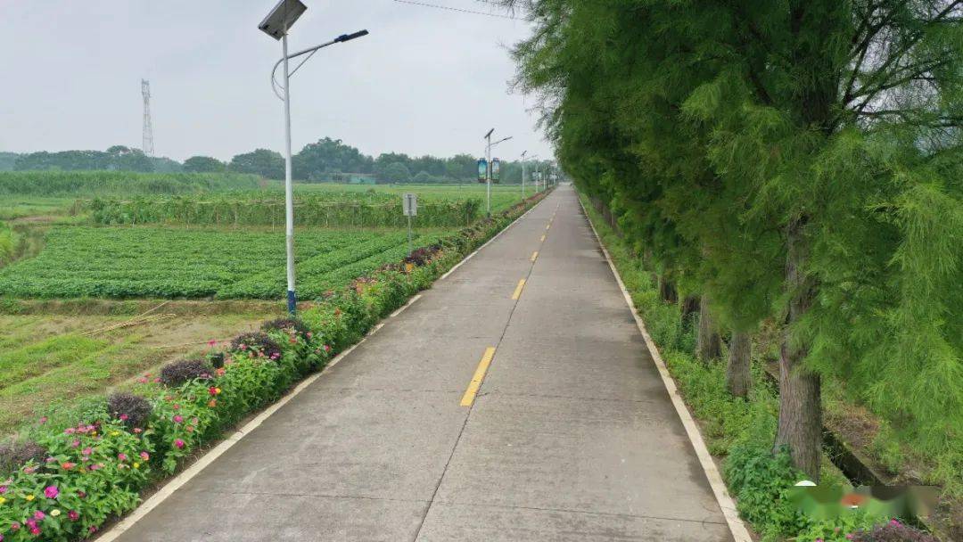 董塘镇高莲村村道(y575)城口镇上寨村村道(y511