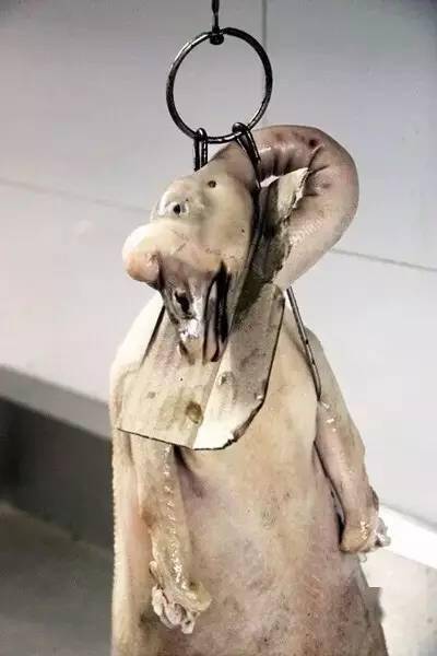 粤菜大师亲自为你图解四道经典粤菜制作