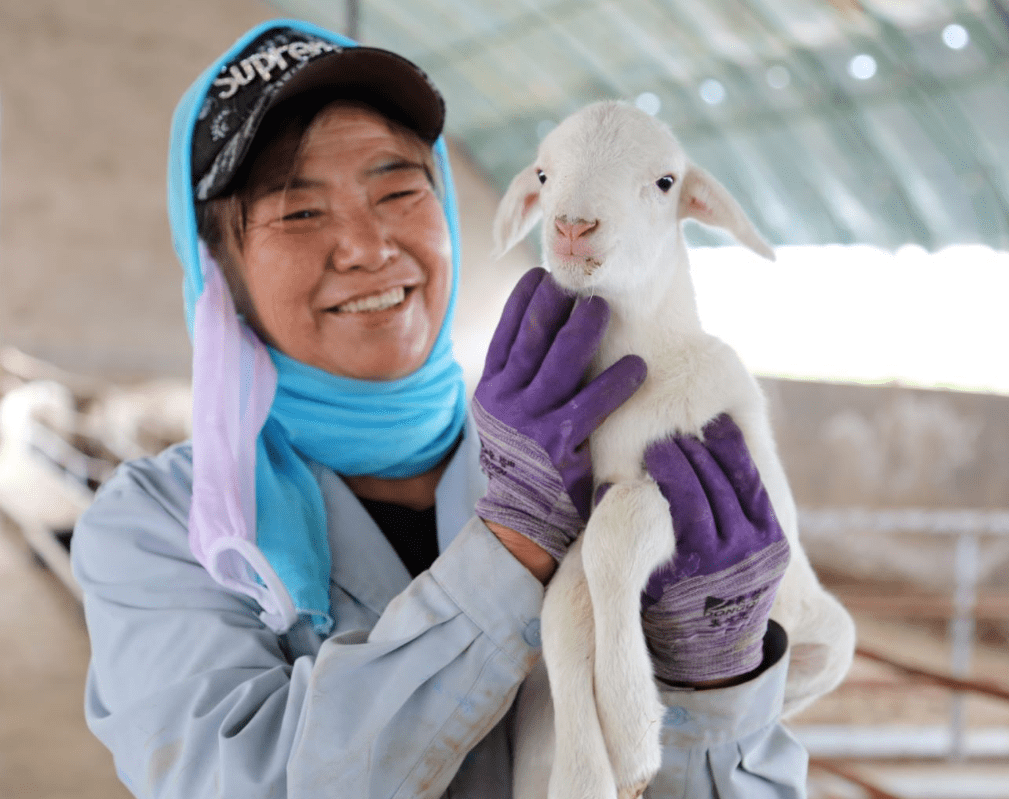 出份力走向我們的小康生活——勞動最光榮 扶貧靠奮鬥內容來源 王司同