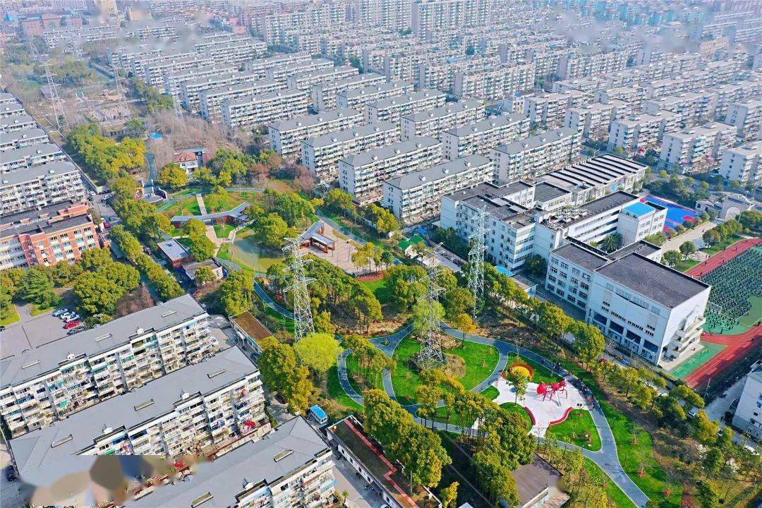 绿色彭浦彭浦人家门口的绿色氧吧等你来游玩