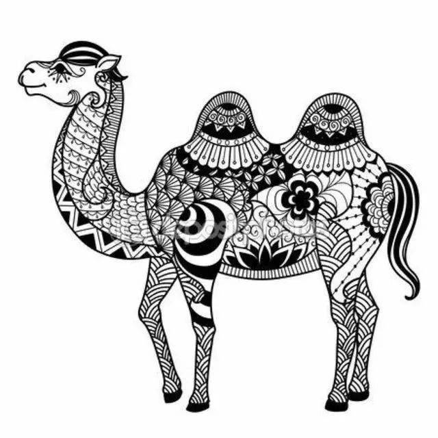 黑白线稿,线描还可以这样画!_素材