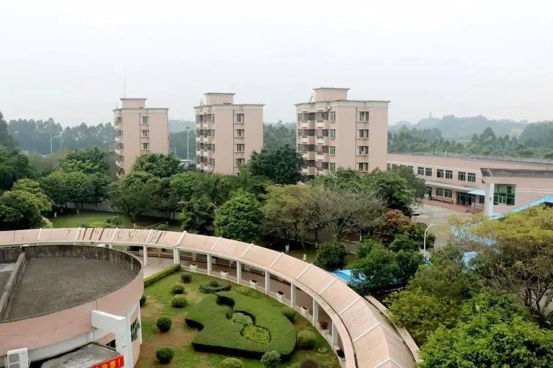 精彩表演南海区丹灶中学代课教师应聘报名表(点击可下载附件)返回搜狐