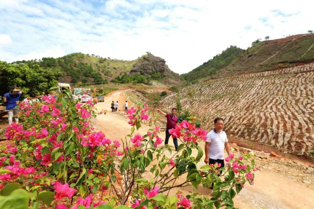 平南丹竹雷公山旅游区图片