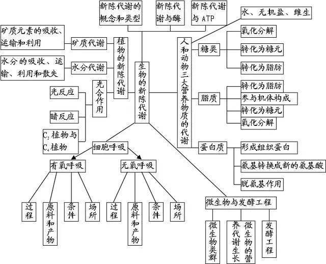 高中生物知识结构图!一目了然,简直太棒了!