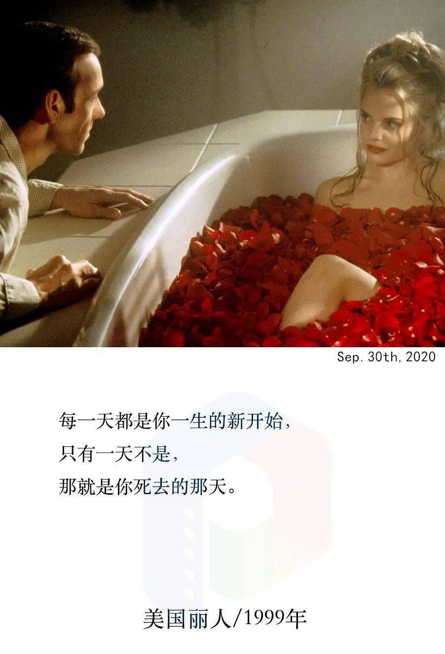 每天一句影视台词丨《 美国丽人 》