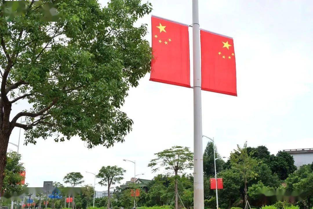 的五星红旗道路两侧灯杆上创业路成为亮眼夺目的"国旗街"企石主干道