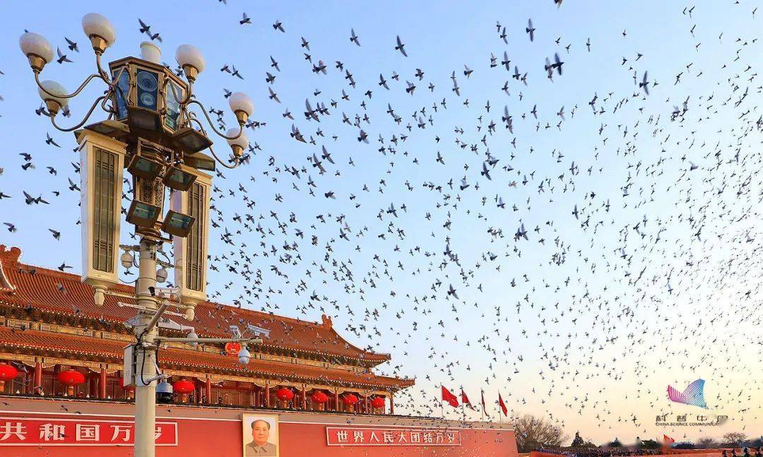 今日,家国同庆!