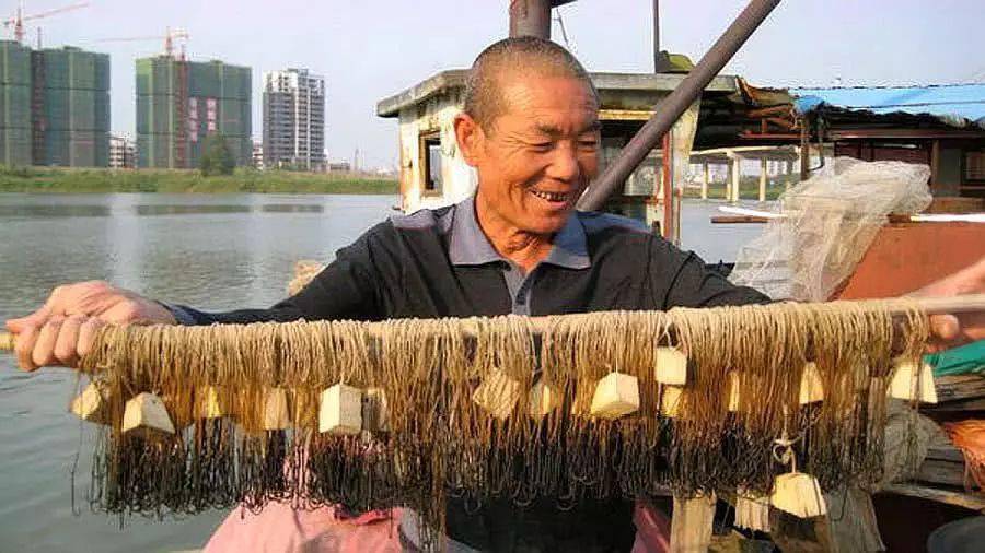 它不过是一种传统捕鱼工具,为什么叫人如此害怕_滚钩