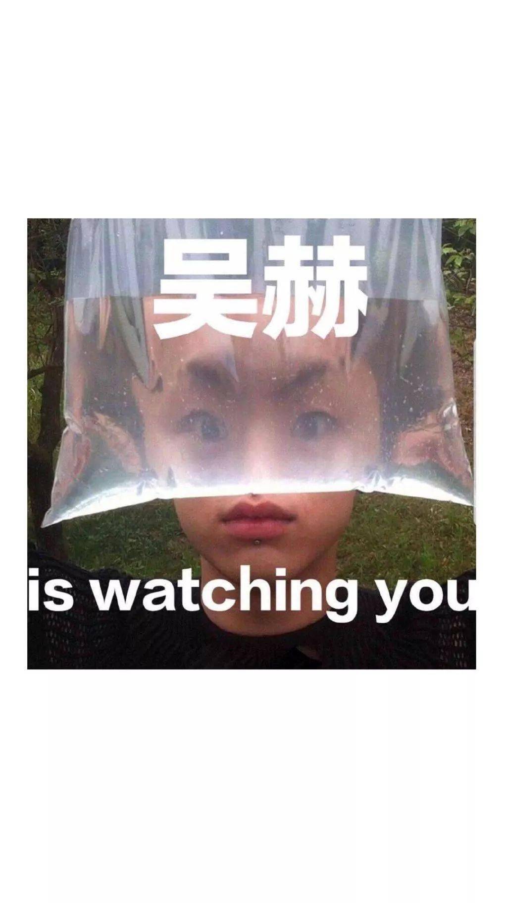 WallPaper | 废是真的废 丧是假的丧 -搜狐大视野-搜狐新闻