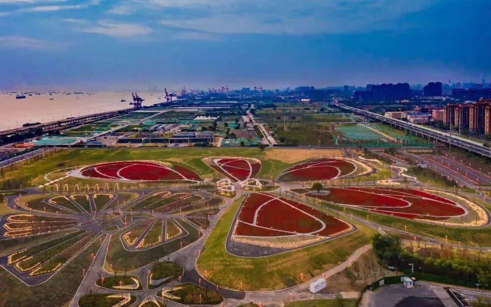 近水揽江,生态花海悄然绽放滨江_南通