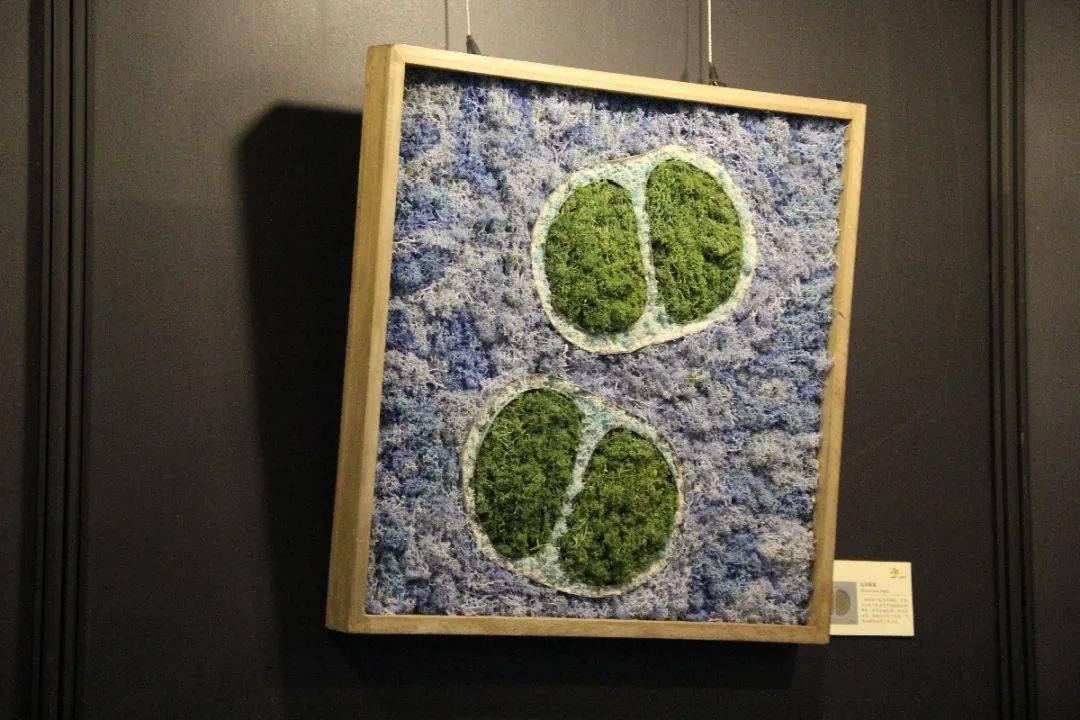 逐梦奇趣乐享园艺阴生植物展之地衣画diy制作