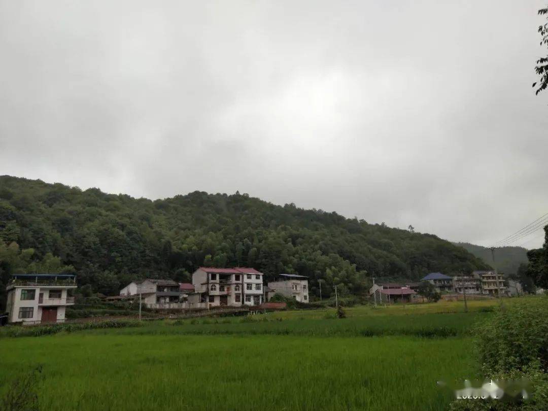 秀美乡村 梅港乡「何源」_手机搜狐网