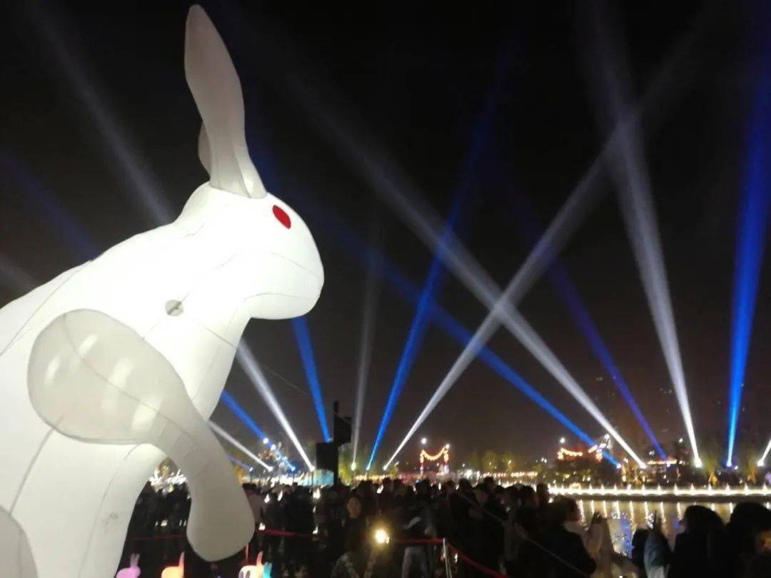 ▼"玉兔"更加夺人眼球天黑之后▼是不是超级可爱~新朋友"玉兔"来了!