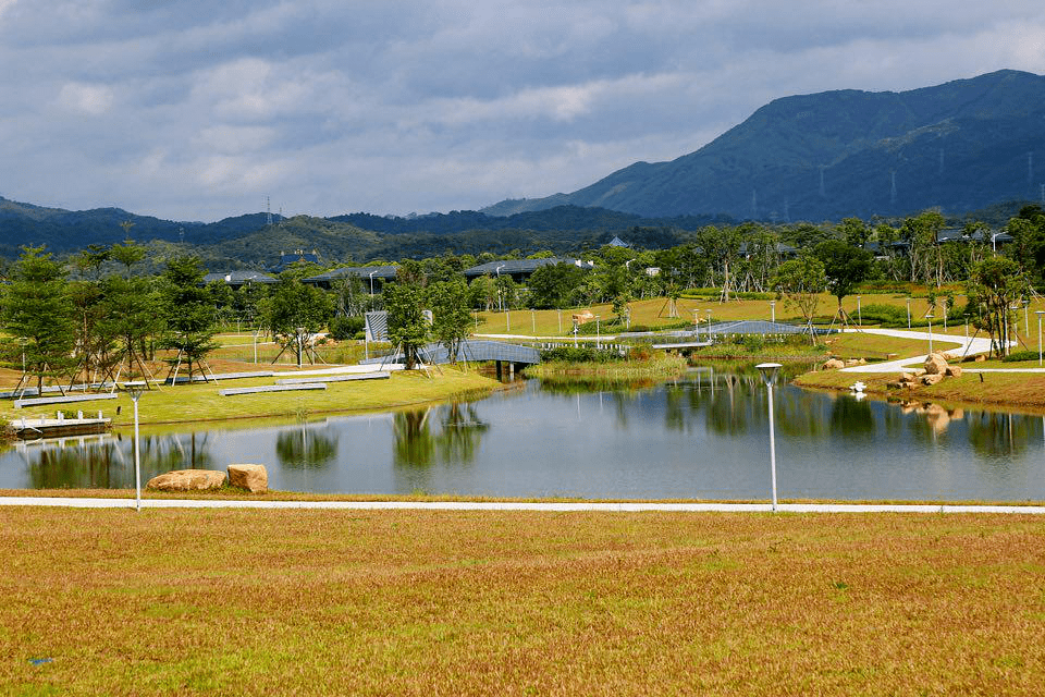 流溪河从都湿地公园期待与你的美丽邂逅将美体现得淋漓尽致大自然的