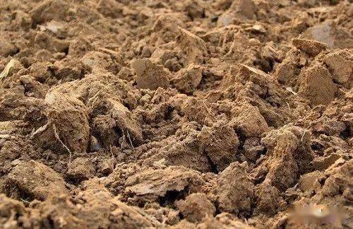 沙土,黏土,盐碱土的区别及施肥攻略!