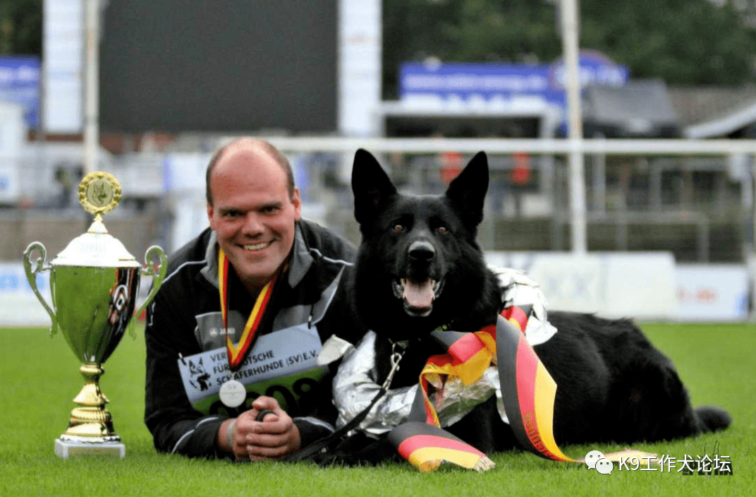 世界排名前50的纯黑东德牧羊犬