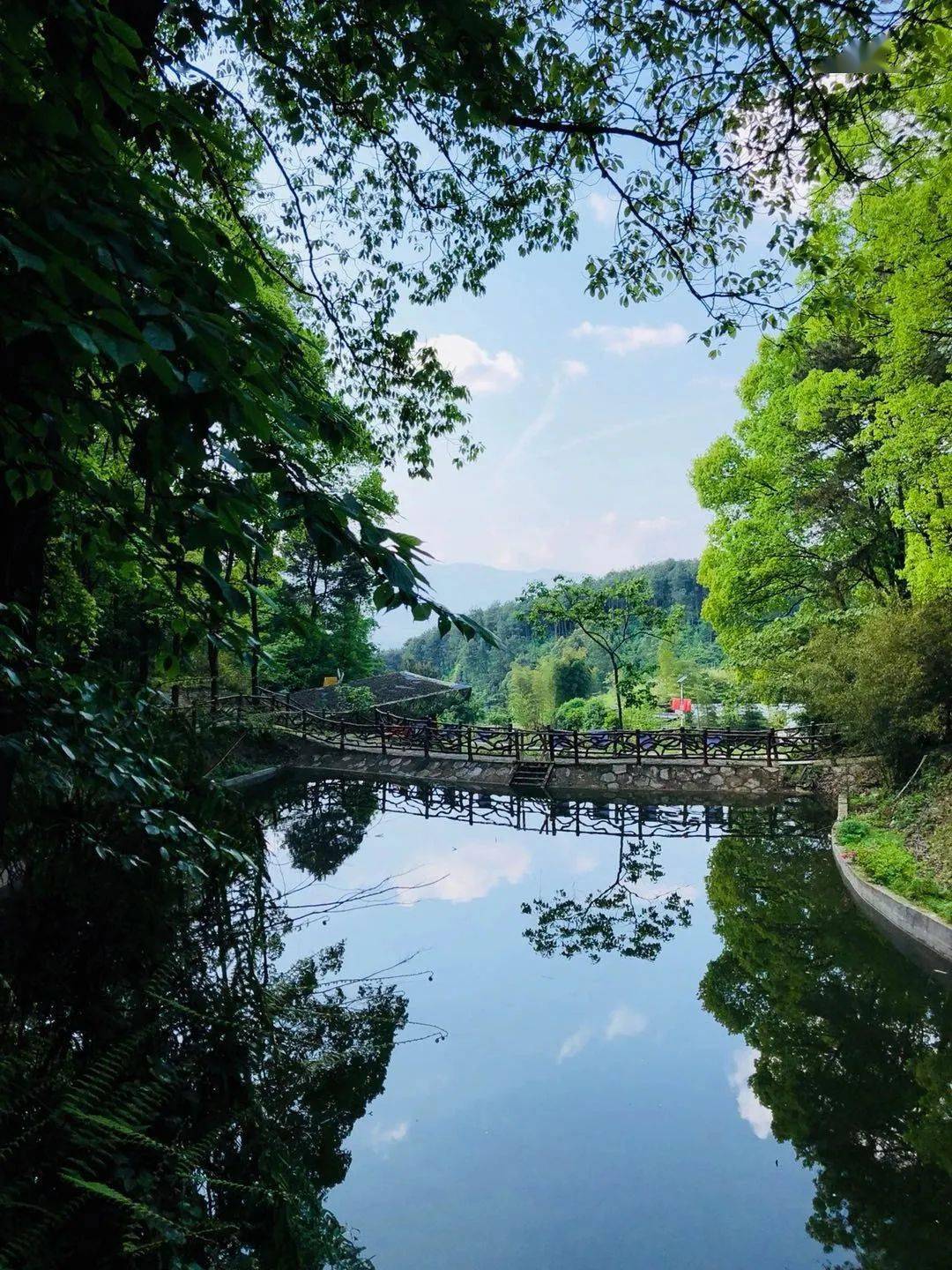 行走丨邻水铜锣山丛林的诗意栖居