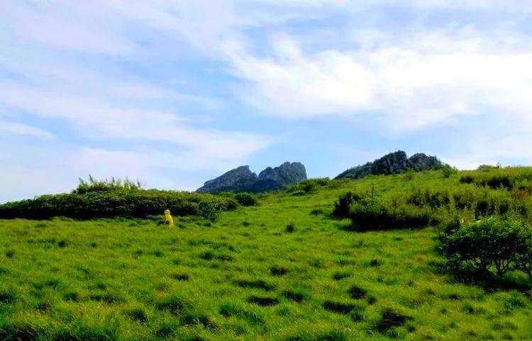 秦嶺十二印象丨分水嶺高山草甸10月11日丨東佛溝穿越東坪溝盡覽秦嶺