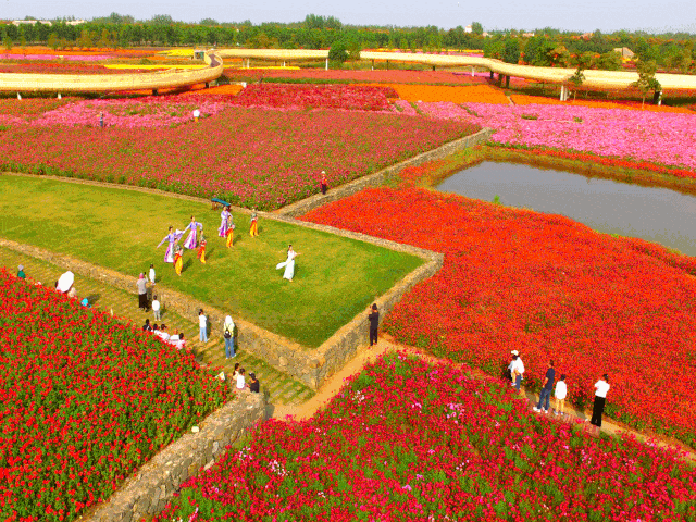 假期余额不足梦幻花海静谧雾森民谣音乐你打卡了吗