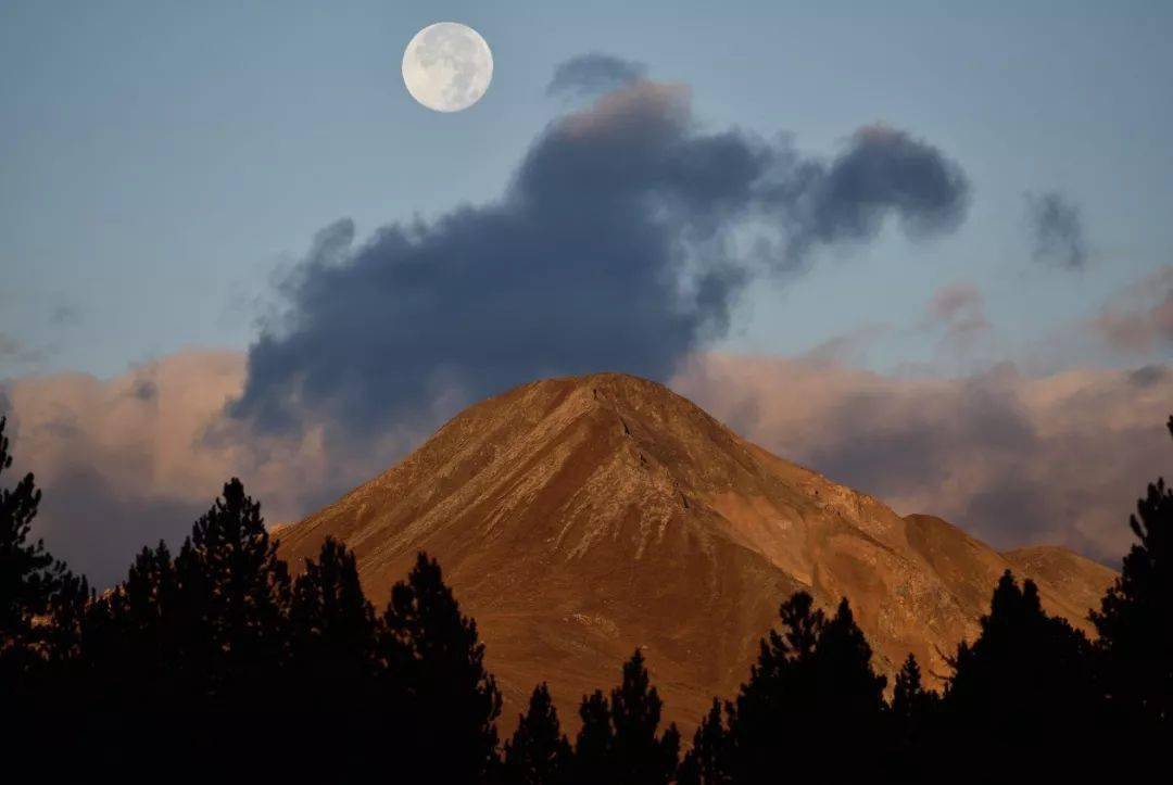 长焦镜头拍出来的照片是什么样的