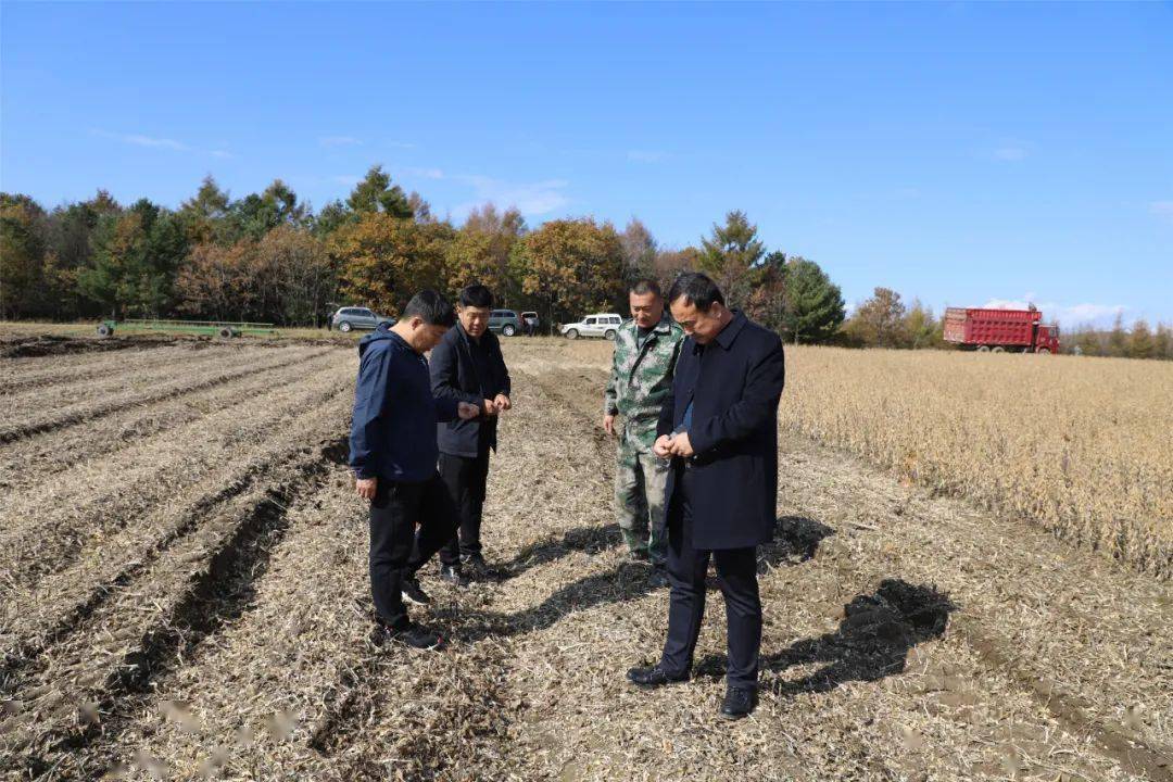 八五五农场有限公司党委书记董事长场长隋文成深入基层检查指导秋季