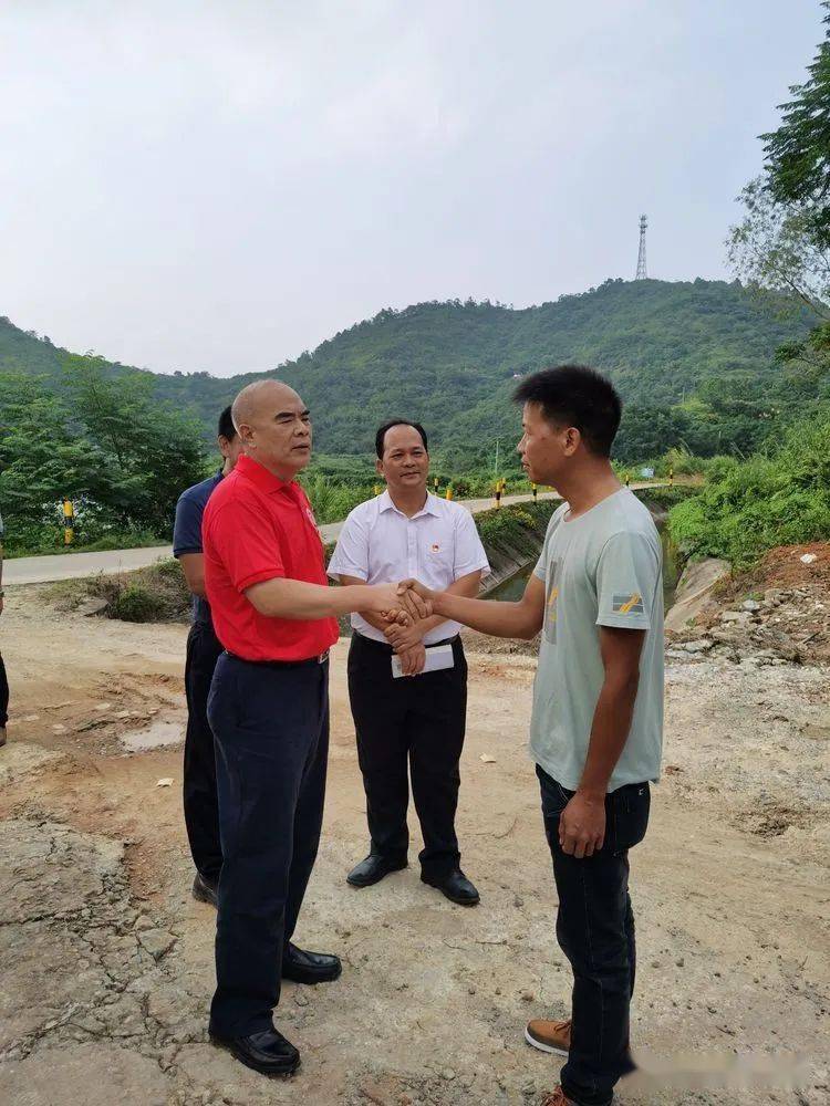 电白一大型养猪场直排猪屎尿污染水源被责令停业整改