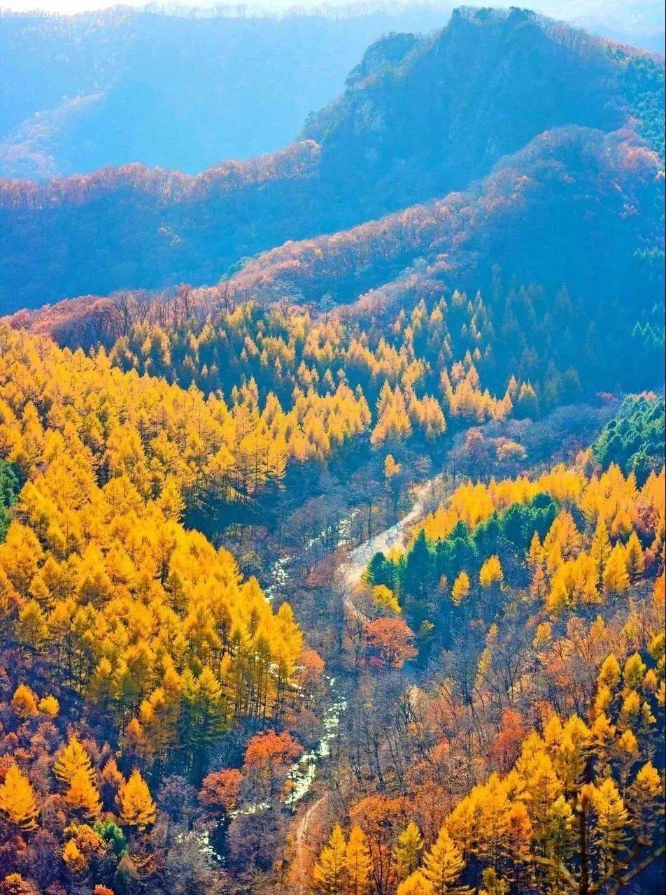 迎国庆·游兴安| 3000米低空俯瞰大兴安岭 不可错过的金秋绝色