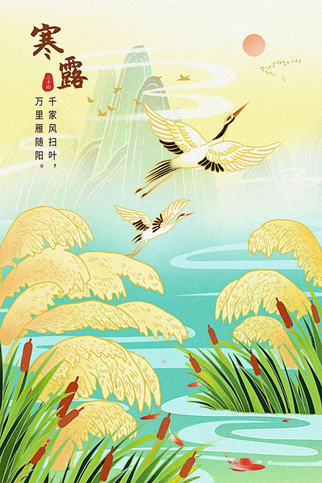 诗词寒露读诗那些露水盈盈的诗情