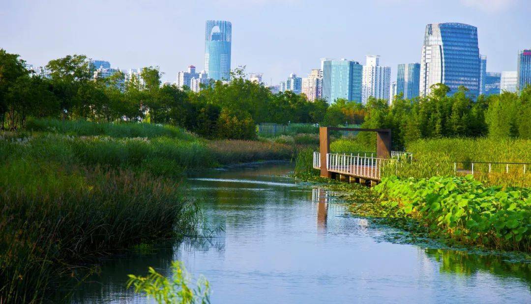 中山造船廠公園,瀋陽建築大學水稻園區,天津橋園公園,遷安三里河綠道