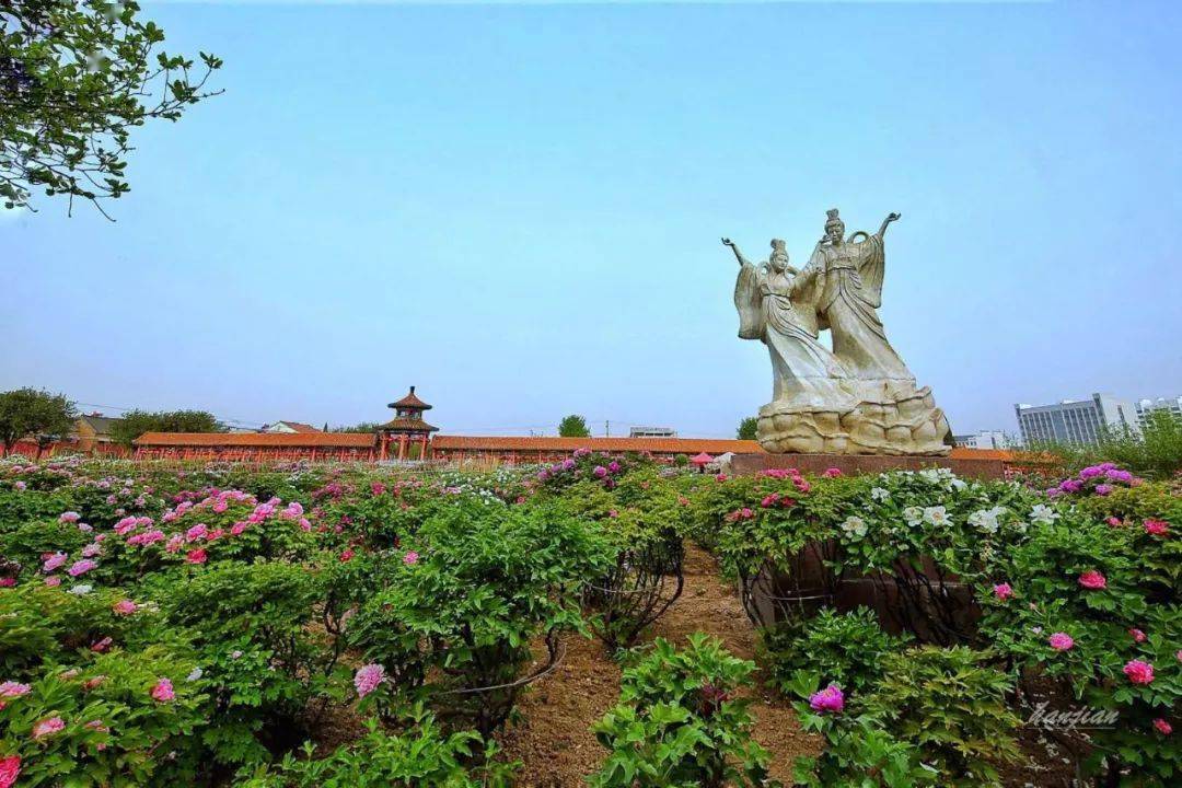 菏澤曹州百花園,具有