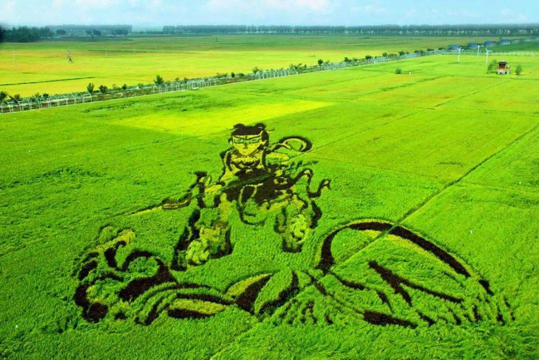 我和我的家乡61沈北新区神笔马亮当第一书记的美丽乡村