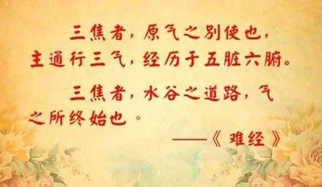 三焦通百脉通三焦除百病