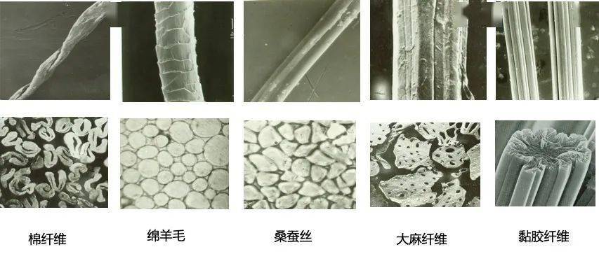 苏州大学《纺织材料学》开课啦!