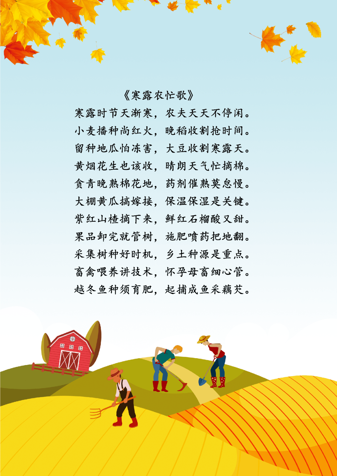 果娃知节气秋收秋种农忙乐劳动实践快乐多第一实小