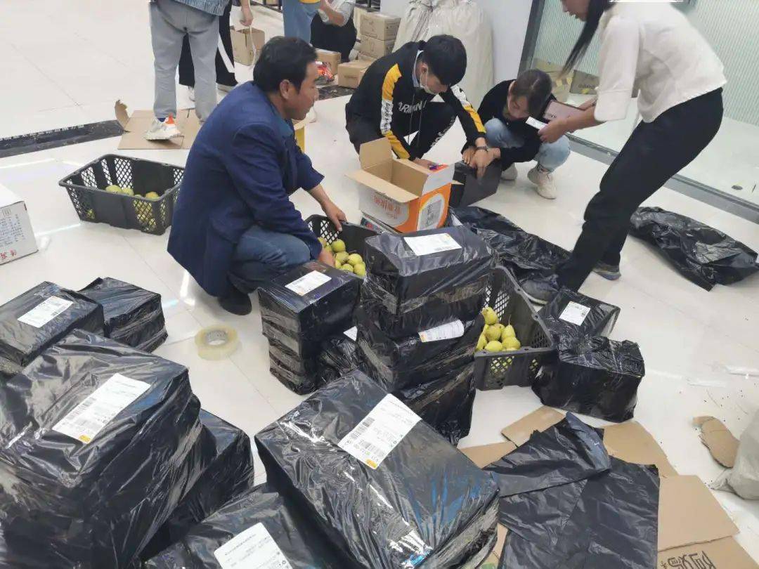 装箱工信商务局领导莅临现场指导和政县网货供应中心啤特果打包现场