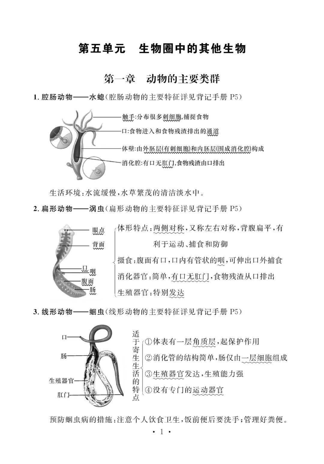 八年級生物基礎知識點總結注意查收