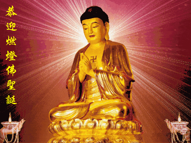 640_480gif 动态图 动图