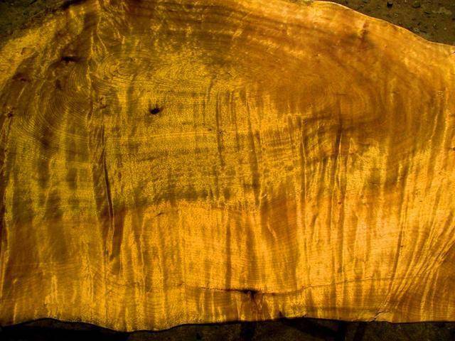 价比黄金的金丝楠木从深山运到故宫有多困难一根木头数条人命